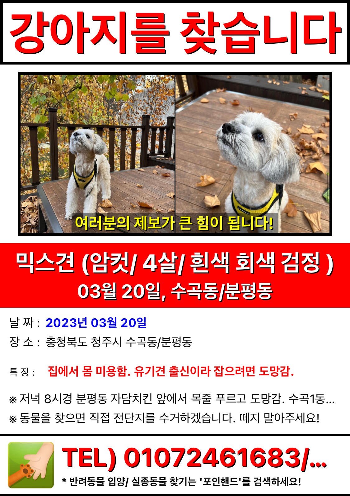 유기견보호센터 강아지보호소 고양이보호소 - 펫찾기 6번째 사진