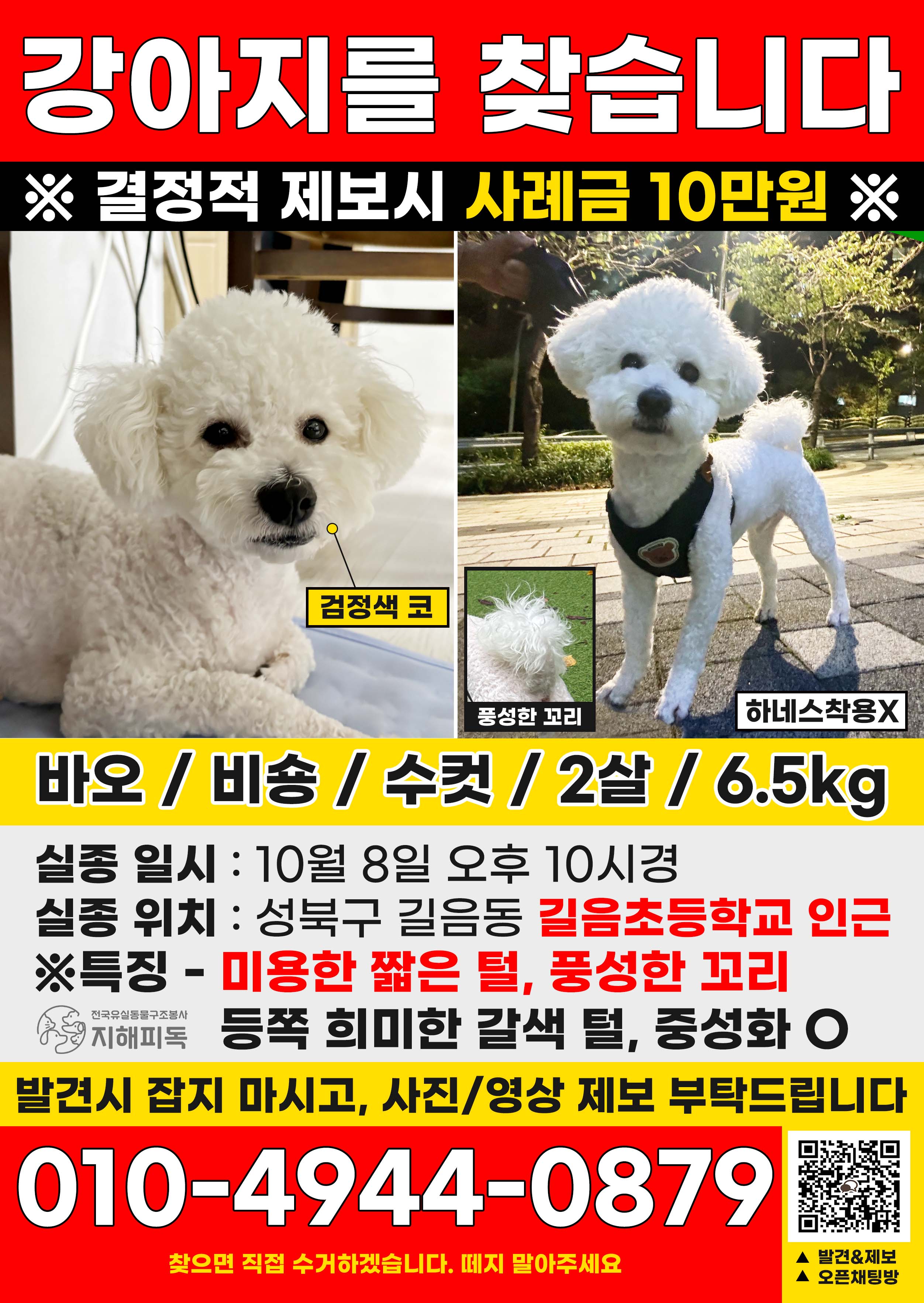 유기견보호센터 강아지보호소 고양이보호소 - 펫찾기 41번째 사진