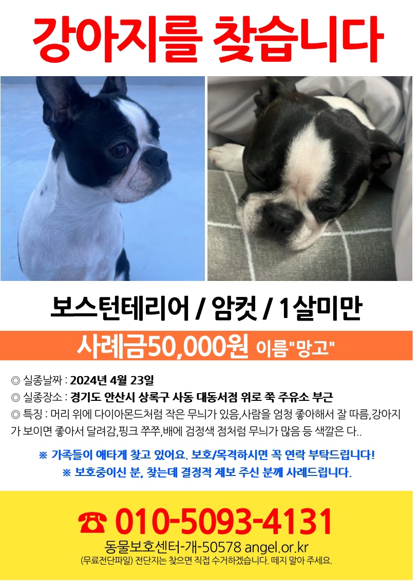 유기견보호센터 강아지보호소 고양이보호소 - 펫찾기 23번째 사진