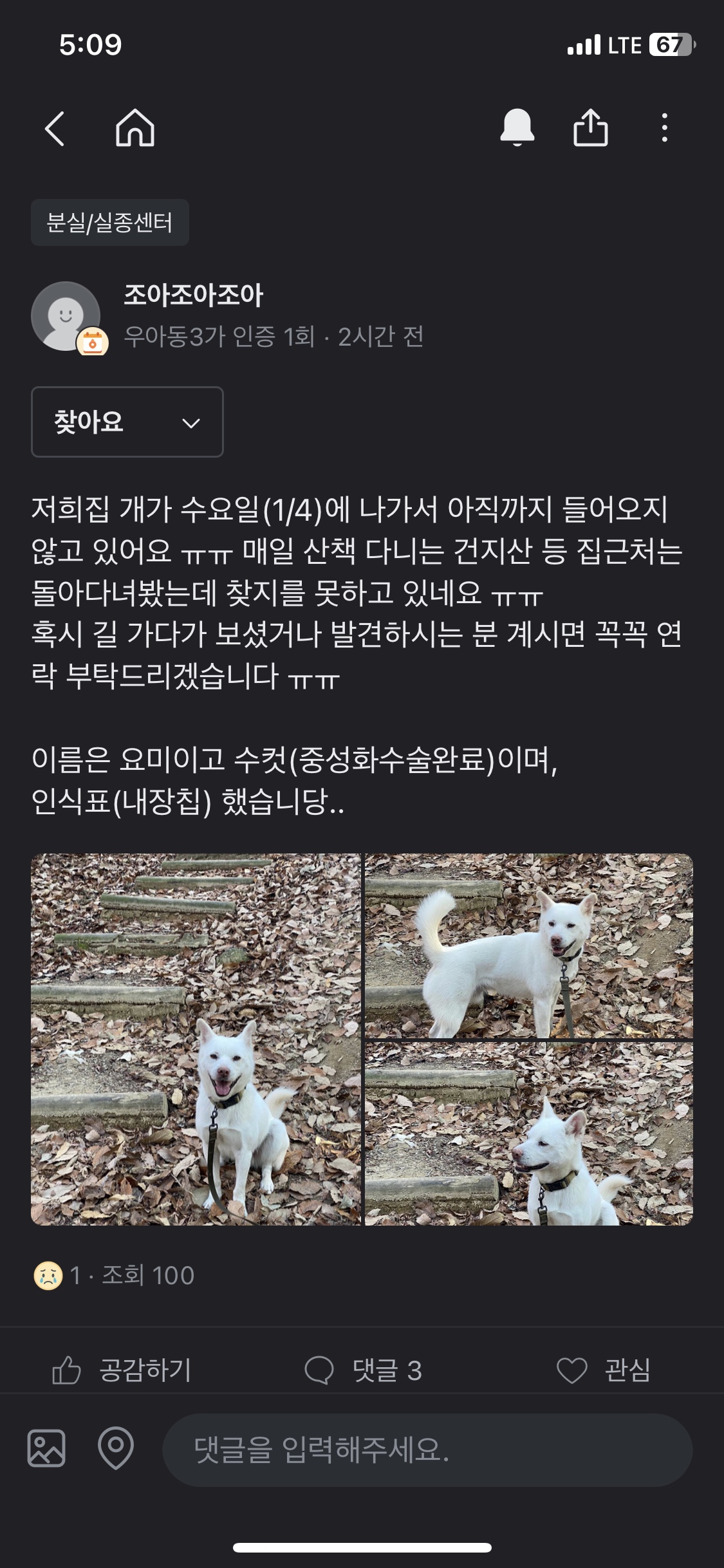 유기견보호센터 강아지보호소 고양이보호소 - 펫찾기 10번째 사진