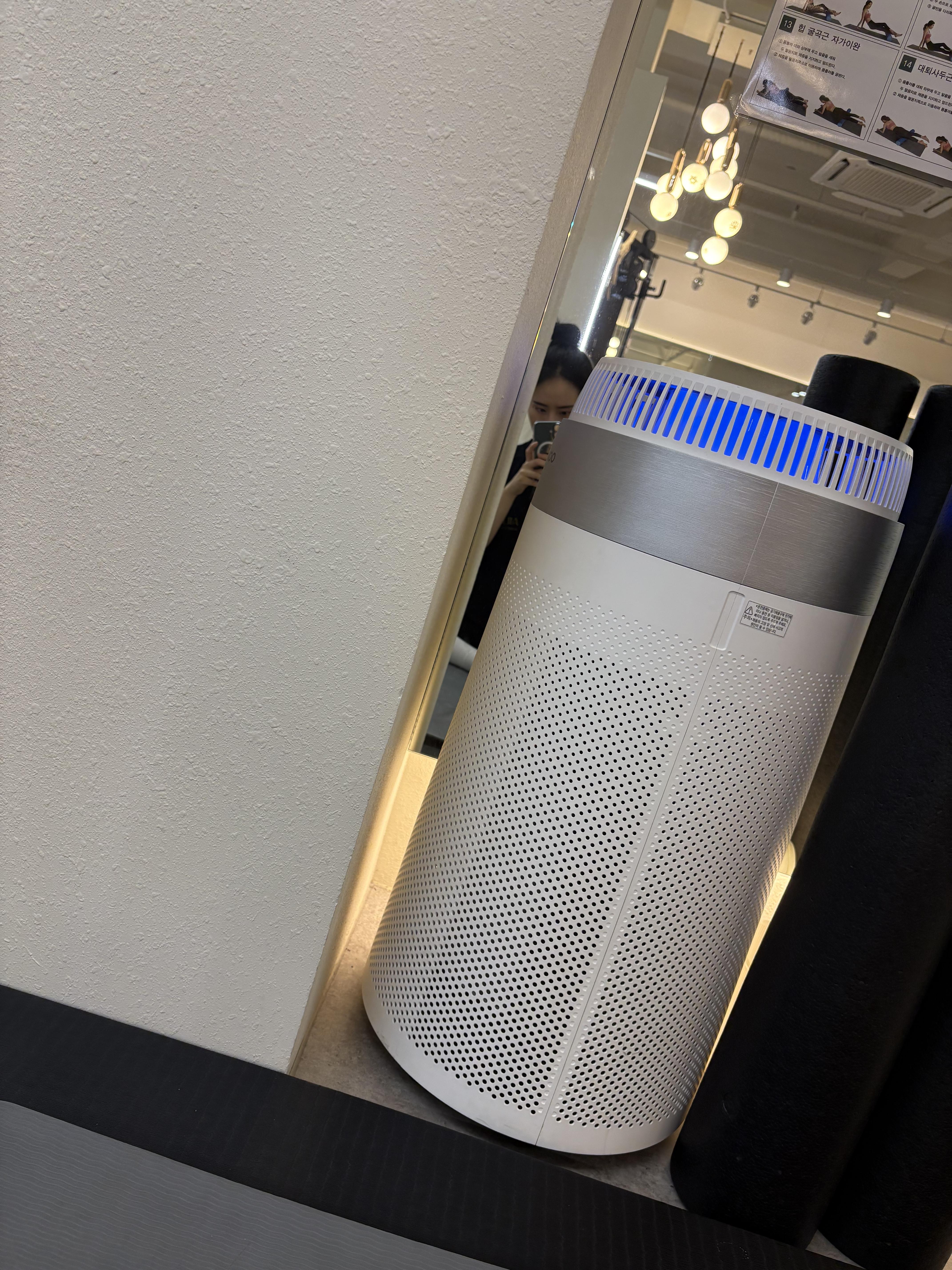 강아지 찾아요 이탈리안 그레이하운드 검정색 - 강아지 찾아요 - 유기견 보호 센터 - 이미지 3