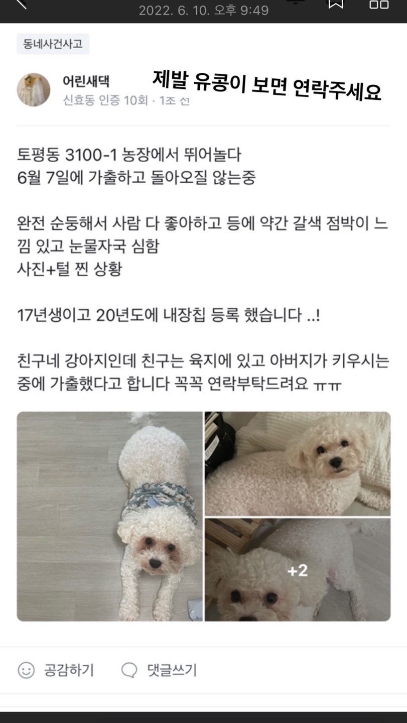 유기견보호센터 강아지보호소 고양이보호소 - 펫찾기 30번째 사진