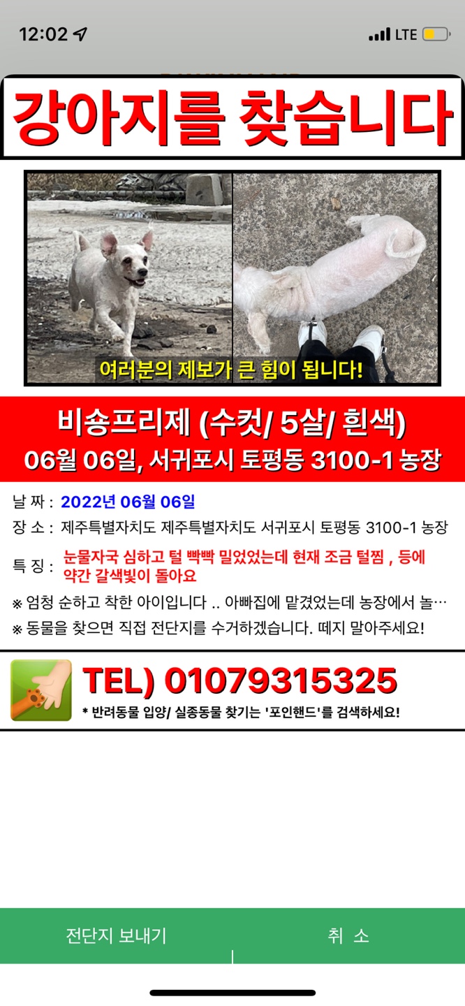 유기견보호센터 강아지보호소 고양이보호소 - 펫찾기 28번째 사진