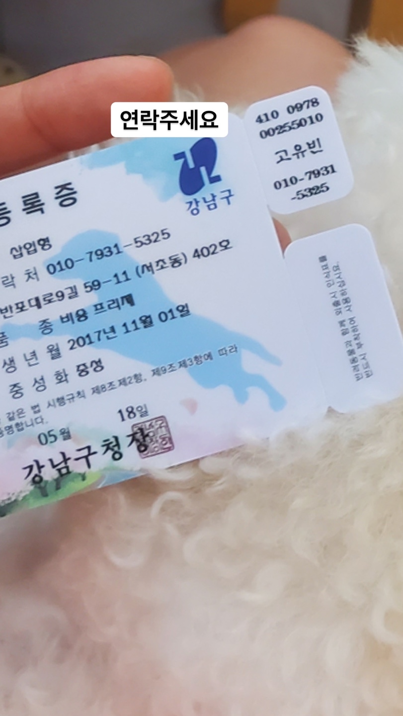 유기견보호센터 강아지보호소 고양이보호소 - 펫찾기 29번째 사진