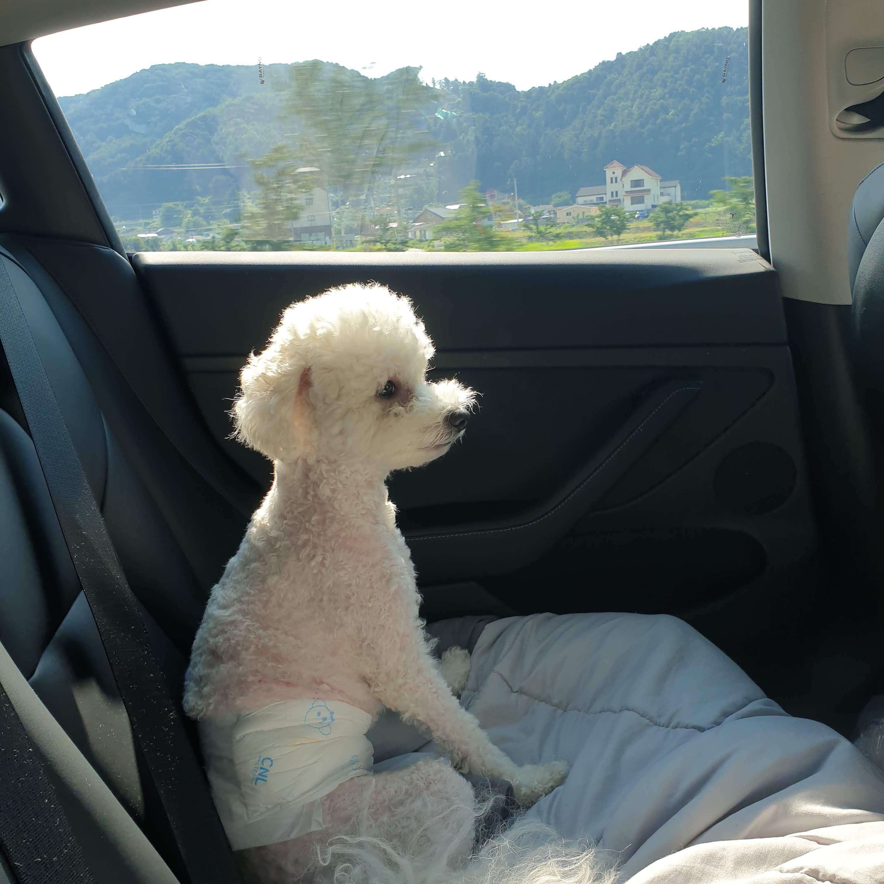 간절하게 찾아요 (2)