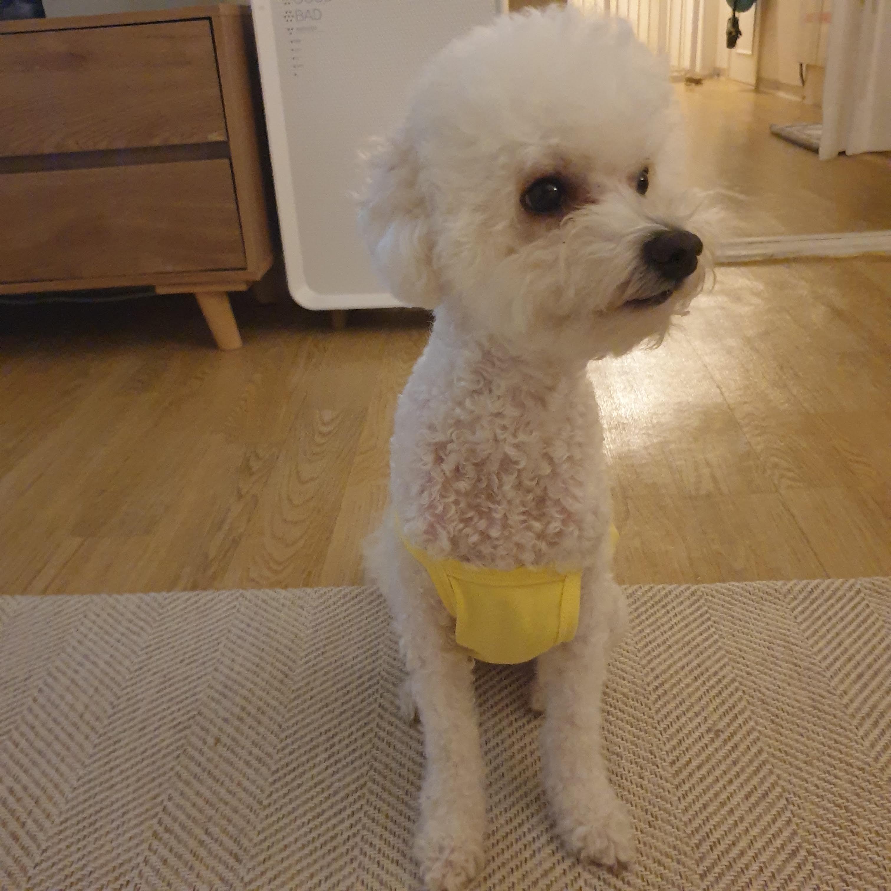 간절하게 찾아요 (3)