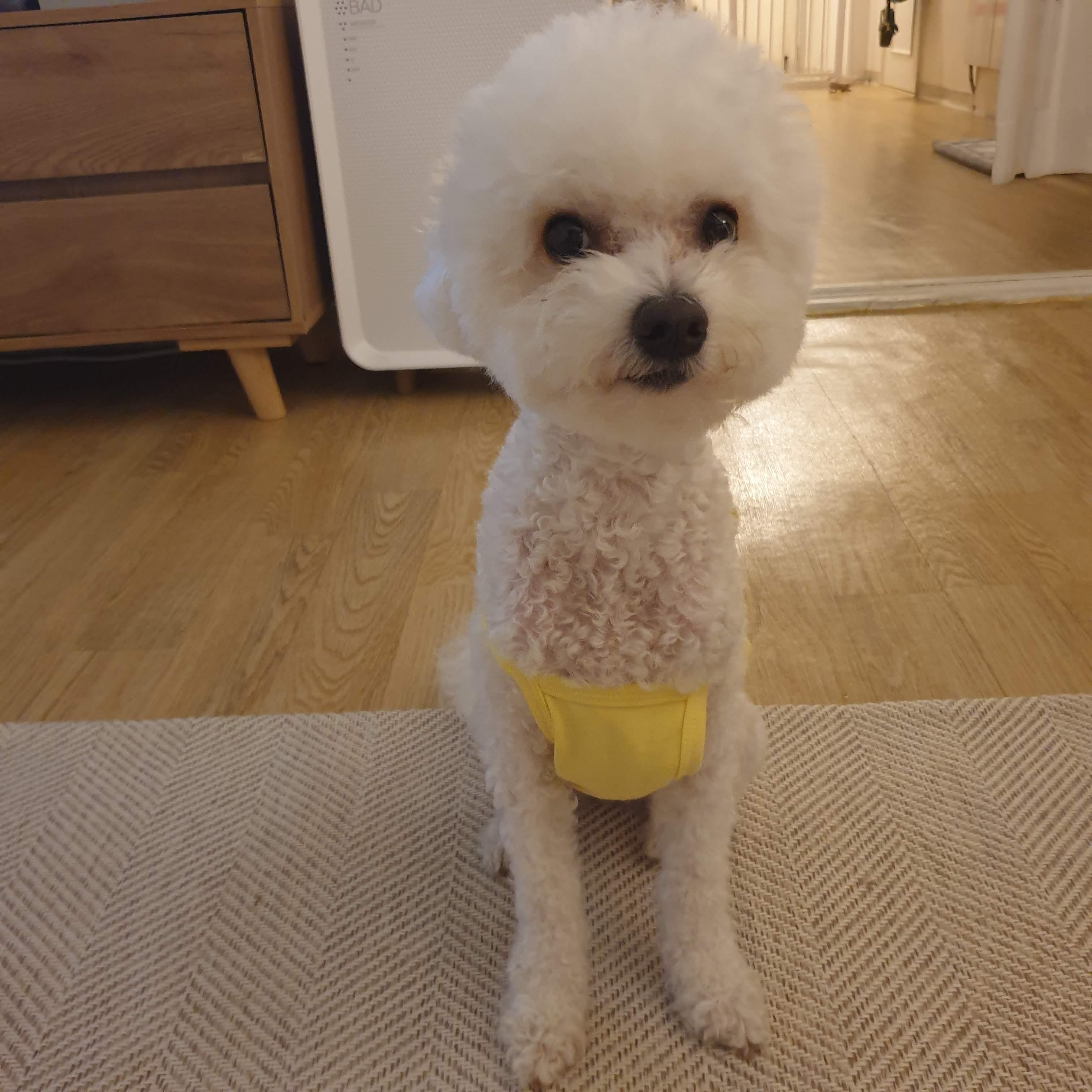 간절하게 찾아요 (1)