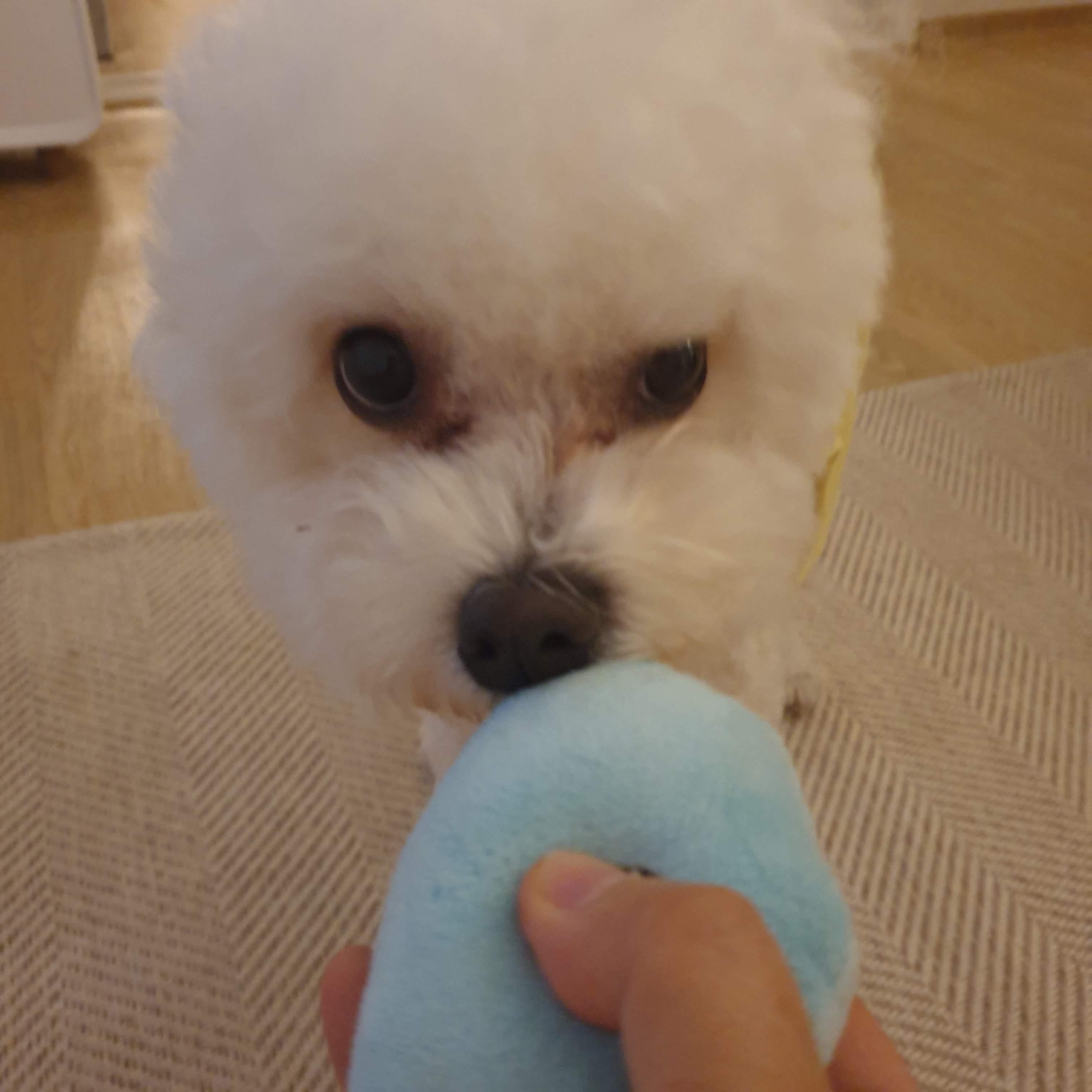 간절하게 찾아요 (4)