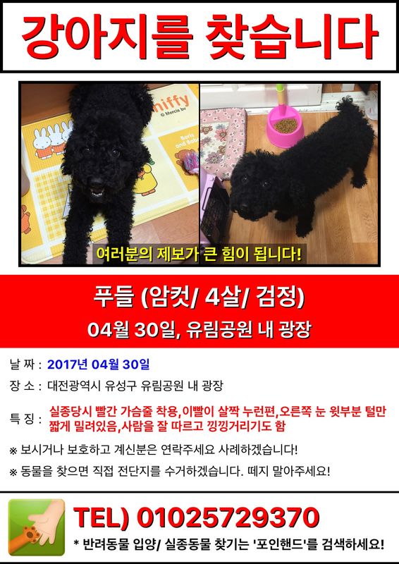 유기견보호센터 강아지보호소 고양이보호소 - 펫찾기 36번째 사진