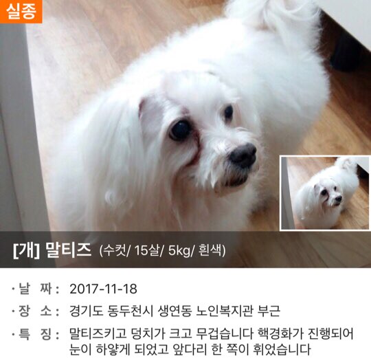 KakaoTalk_20171118_182723805.jpg