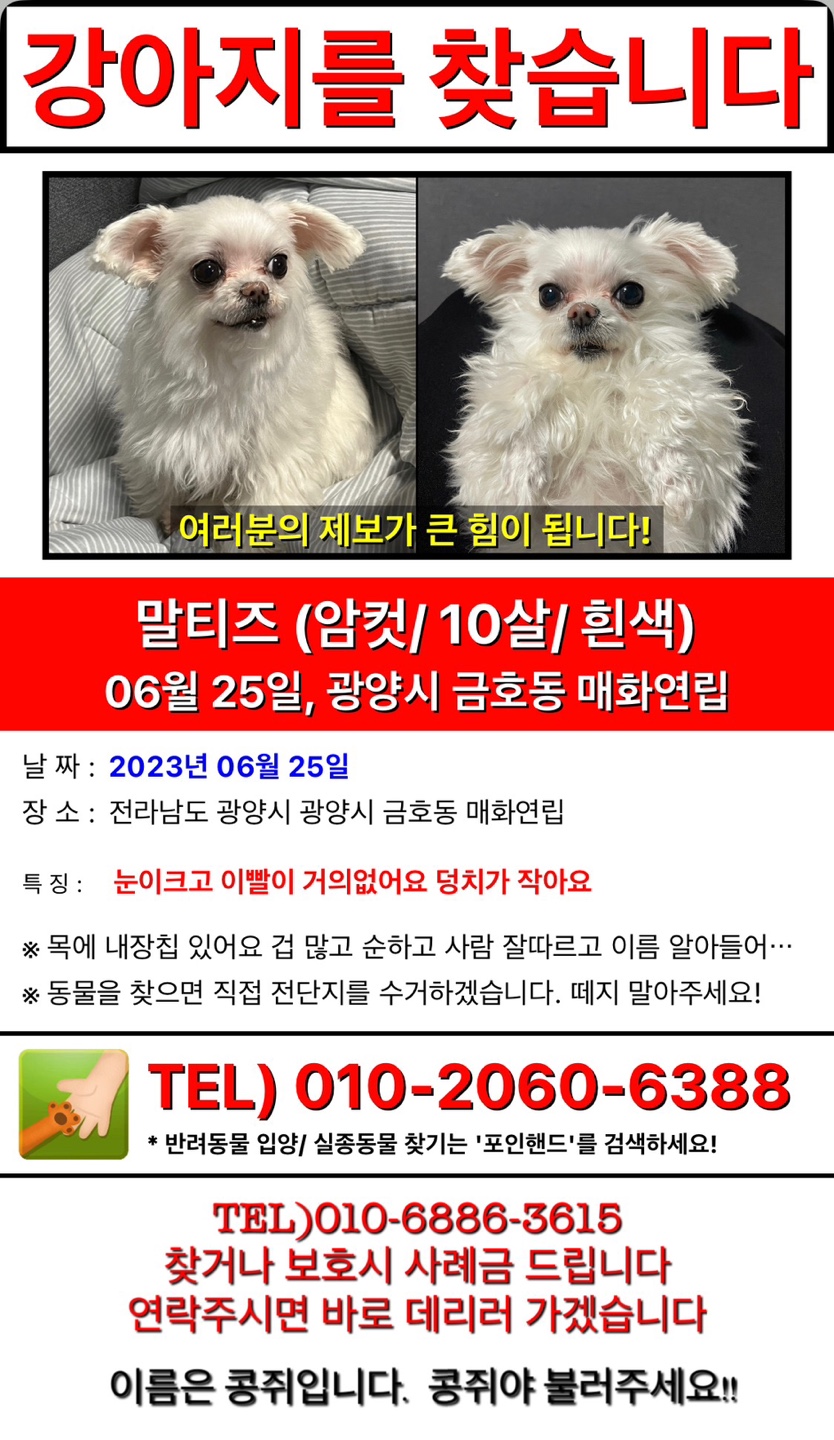 유기견보호센터 강아지보호소 고양이보호소 - 펫찾기 35번째 사진