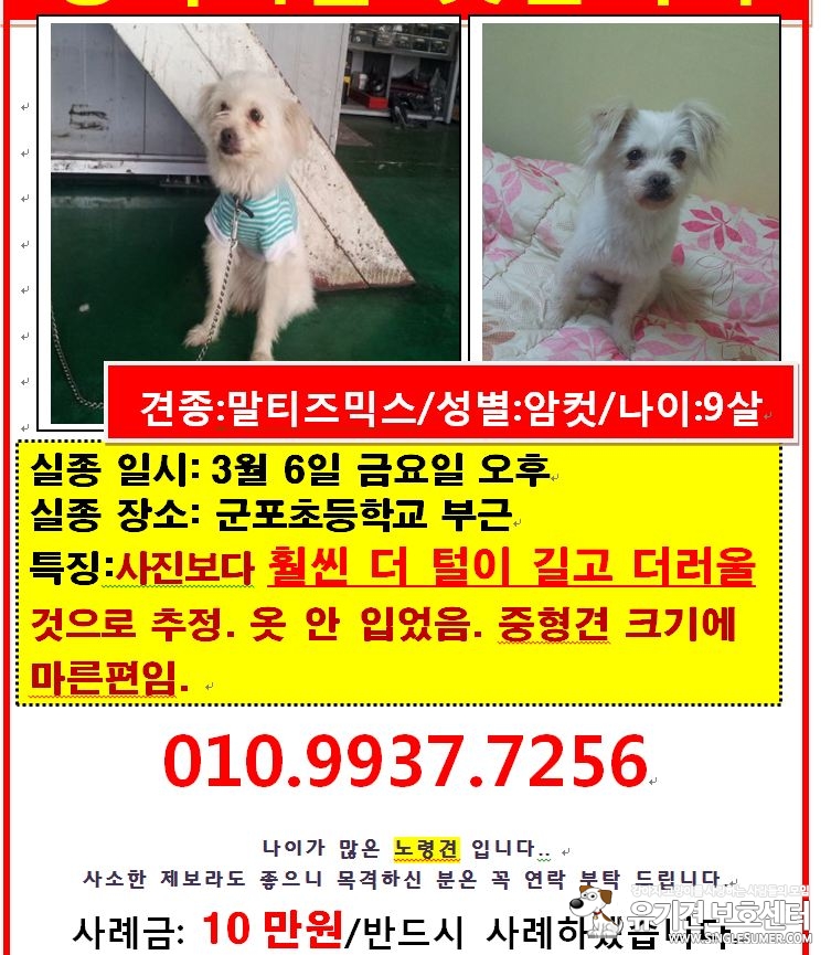 유기견보호센터 강아지보호소 고양이보호소 - 펫찾기 10번째 사진