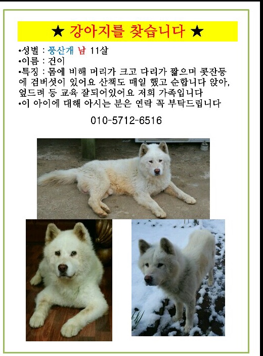 유기견보호센터 강아지보호소 고양이보호소 - 펫찾기 13번째 사진