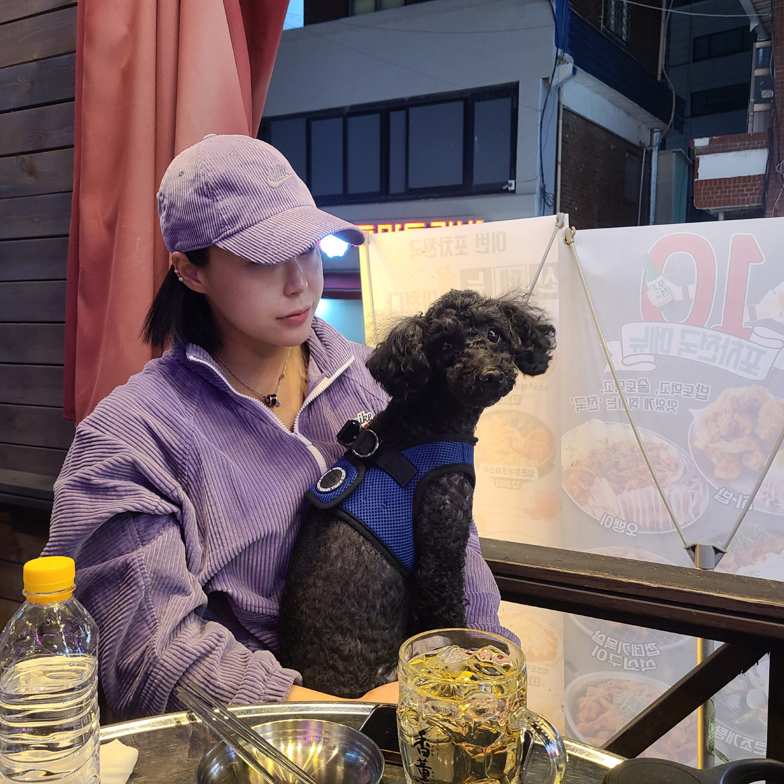 유기견보호센터 강아지보호소 고양이보호소 - 펫찾기 9번째 사진