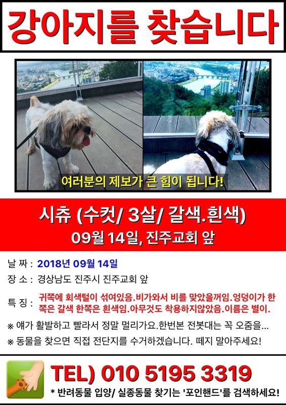 유기견보호센터 강아지보호소 고양이보호소 - 펫찾기 15번째 사진