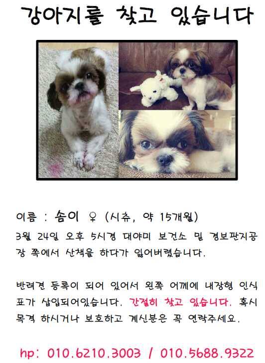 강아지를 찾습니다. - 강아지 찾아요 - 유기견 보호 센터 - 이미지 1