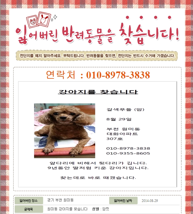 부천 원미동 강아지를 찾습니다. - 강아지 찾아요 - 유기견 보호 센터 - 이미지 1