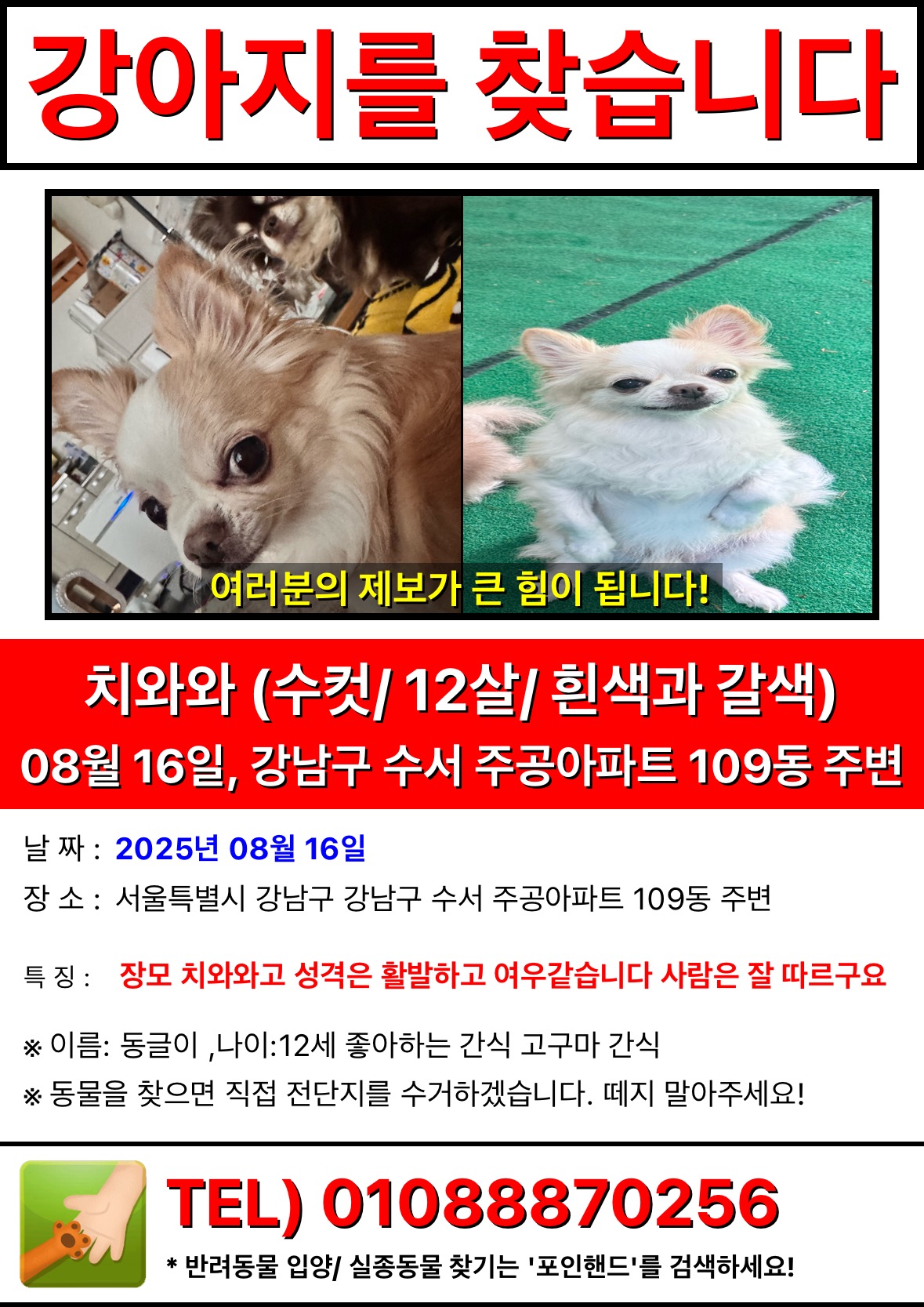 유기견보호센터 강아지보호소 고양이보호소 - 펫찾기 23번째 사진