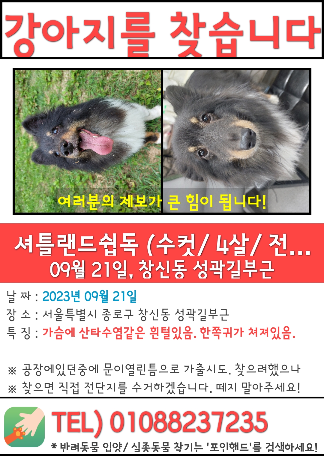 유기견보호센터 강아지보호소 고양이보호소 - 펫찾기 26번째 사진