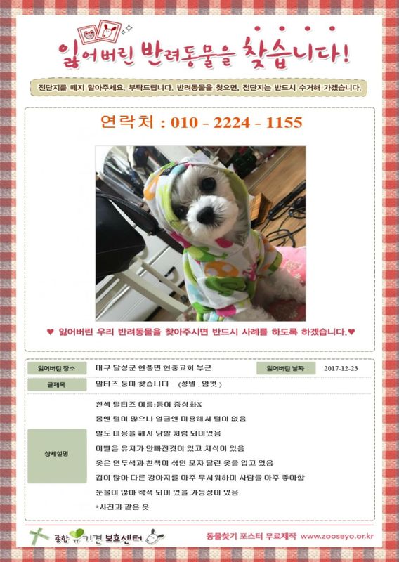 유기견보호센터 강아지보호소 고양이보호소 - 펫찾기 15번째 사진