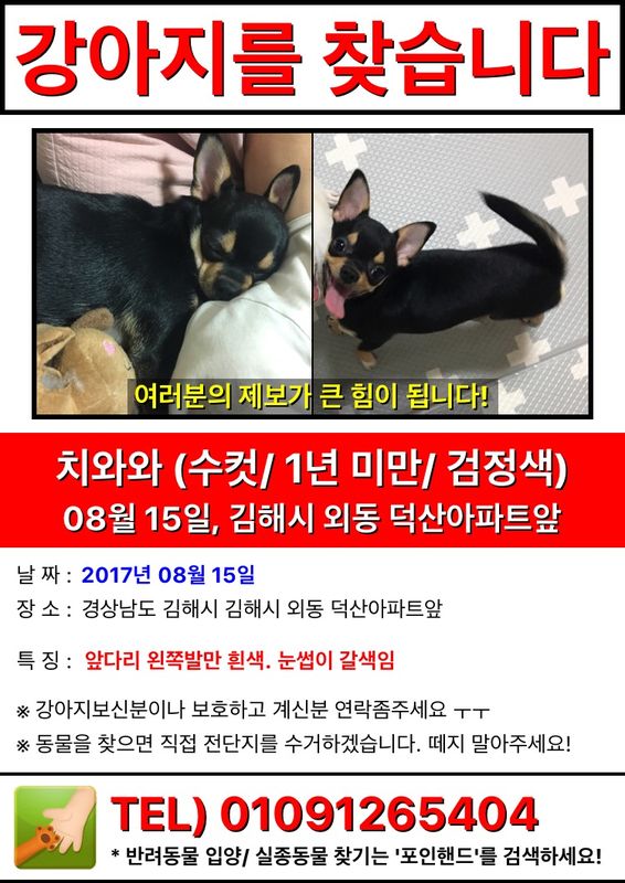 유기견보호센터 강아지보호소 고양이보호소 - 펫찾기 19번째 사진