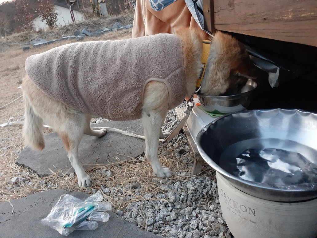 유기견보호센터 강아지보호소 고양이보호소 - 펫찾기 8번째 사진