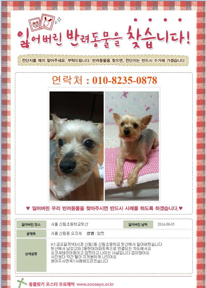 [사례필]서울 신림동 요크셔 찾아요 - 강아지 찾아요 - 유기견 보호 센터 - 이미지 1