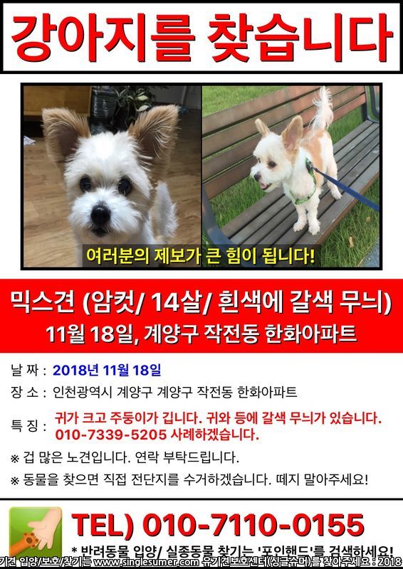 유기견보호센터 강아지보호소 고양이보호소 - 펫찾기 22번째 사진