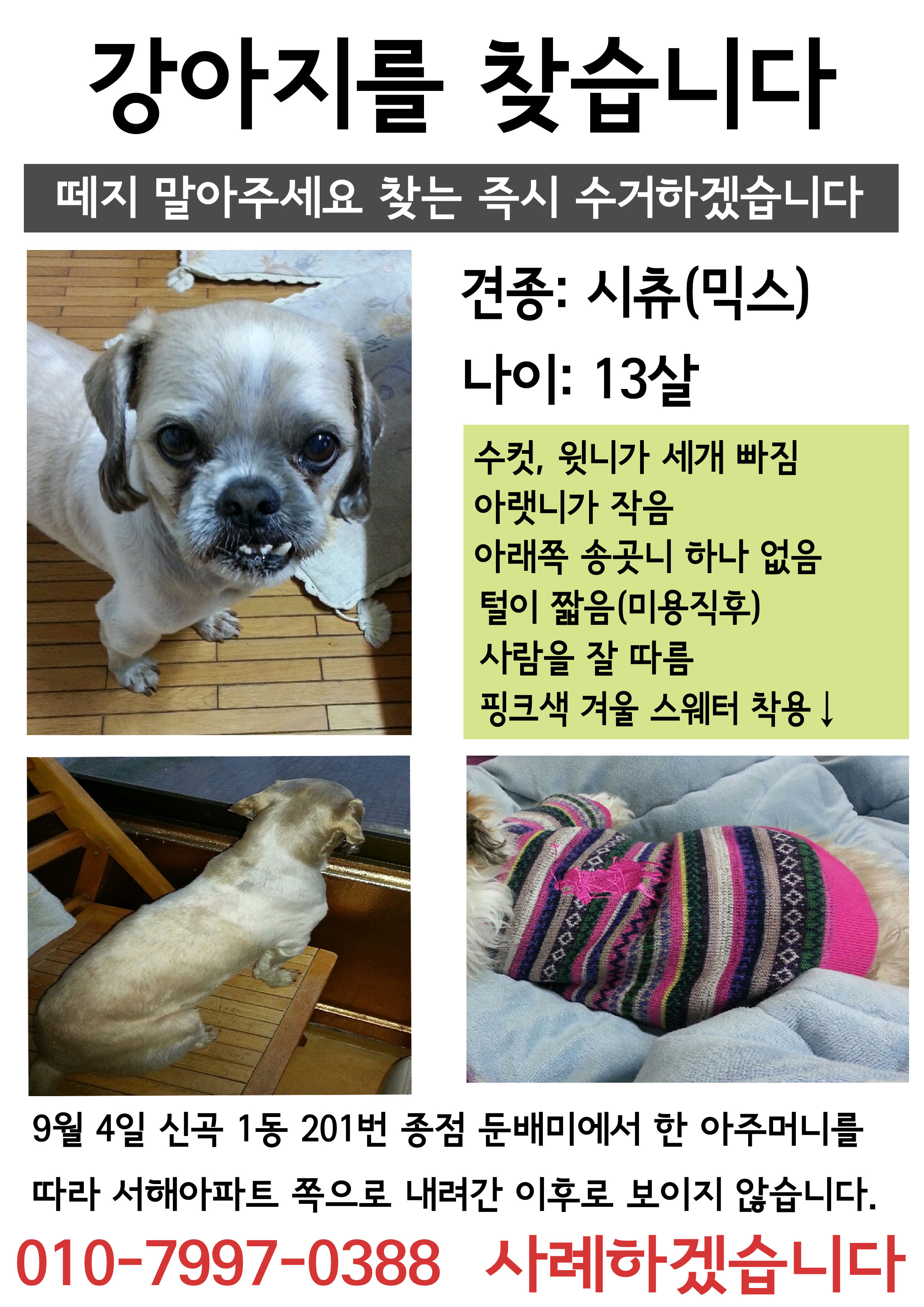 토토를 찾습니다!의정부! 사례금 20만원 드리겠습니다 - 강아지 찾아요 - 유기견 보호 센터 - 이미지 1