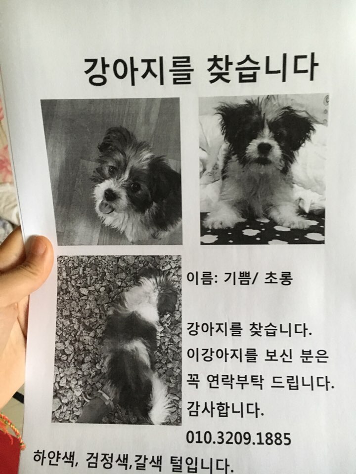 기쁨이입니다 4번째 사진