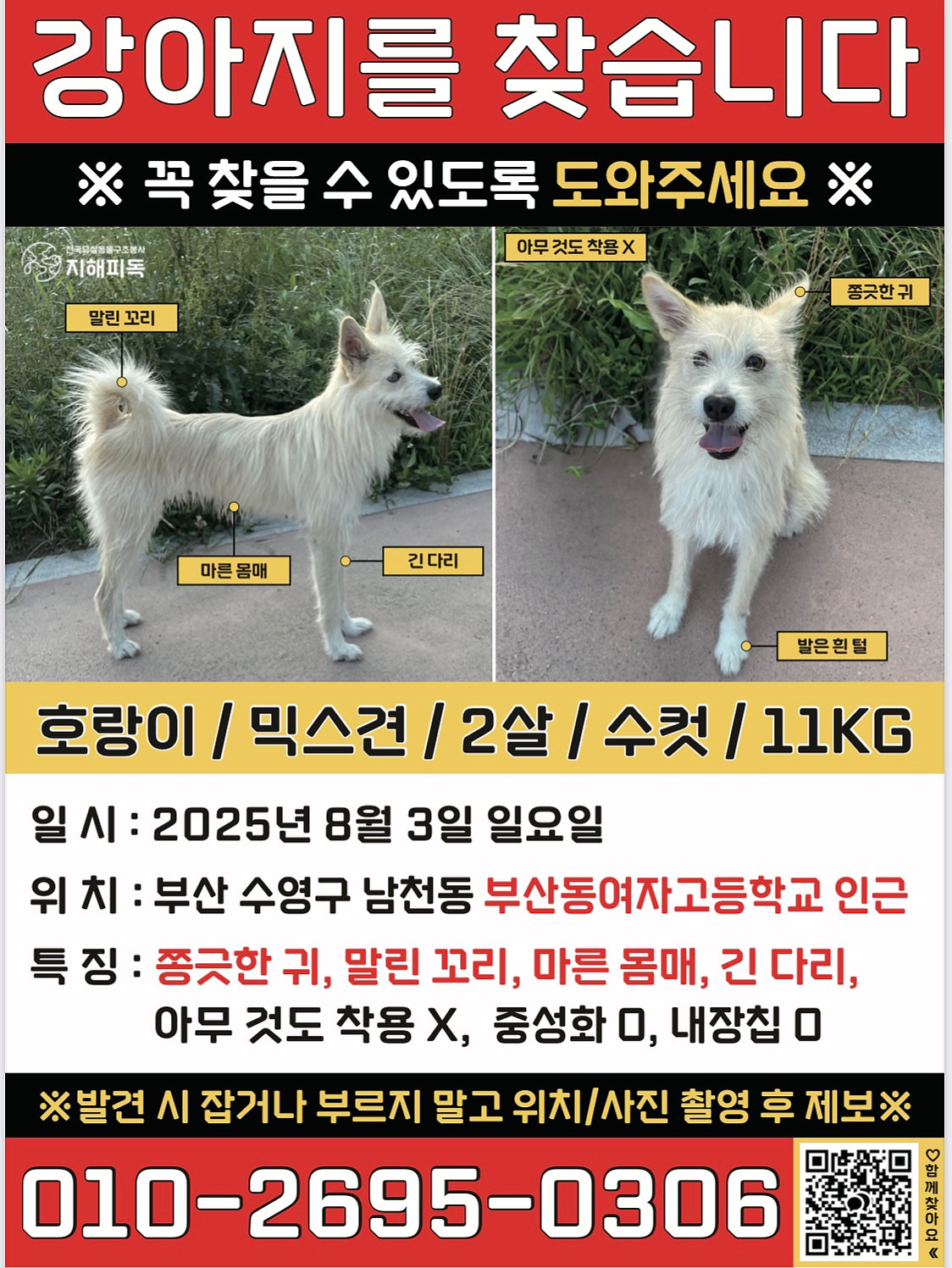 유기견보호센터 강아지보호소 고양이보호소 - 펫찾기 44번째 사진