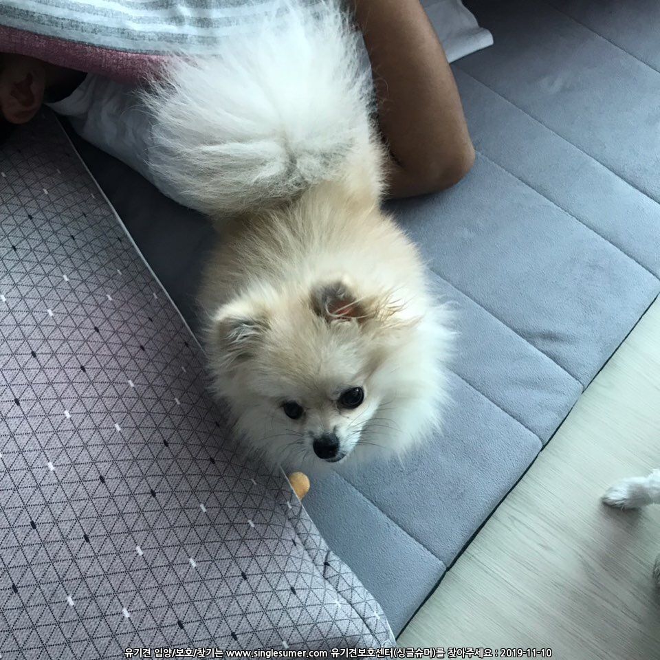 KakaoTalk_20191110_193011771.jpg