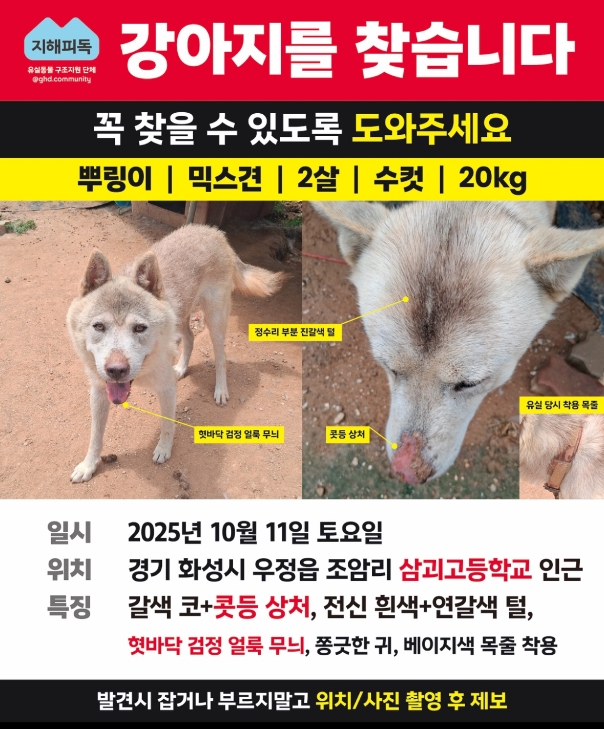 유기견보호센터 강아지보호소 고양이보호소 - 펫찾기 21번째 사진