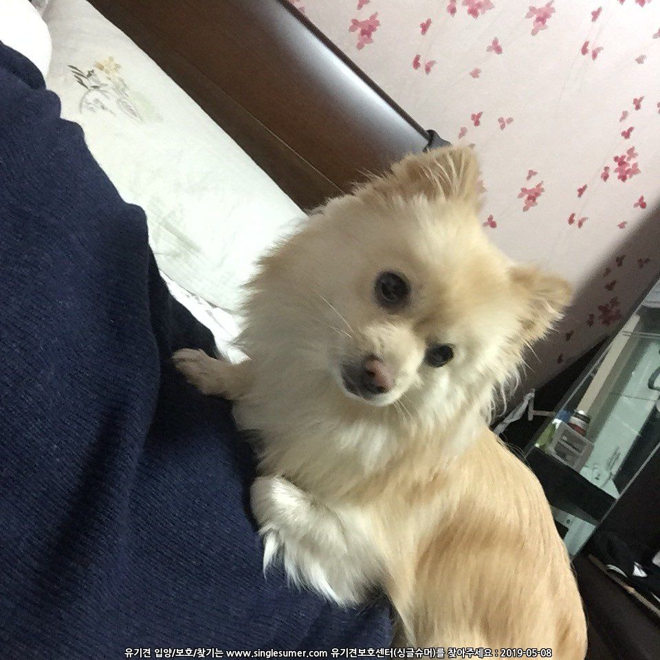 KakaoTalk_20190508_222914063.jpg