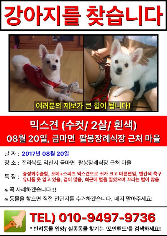 유기견보호센터 강아지보호소 고양이보호소 - 펫찾기 40번째 사진