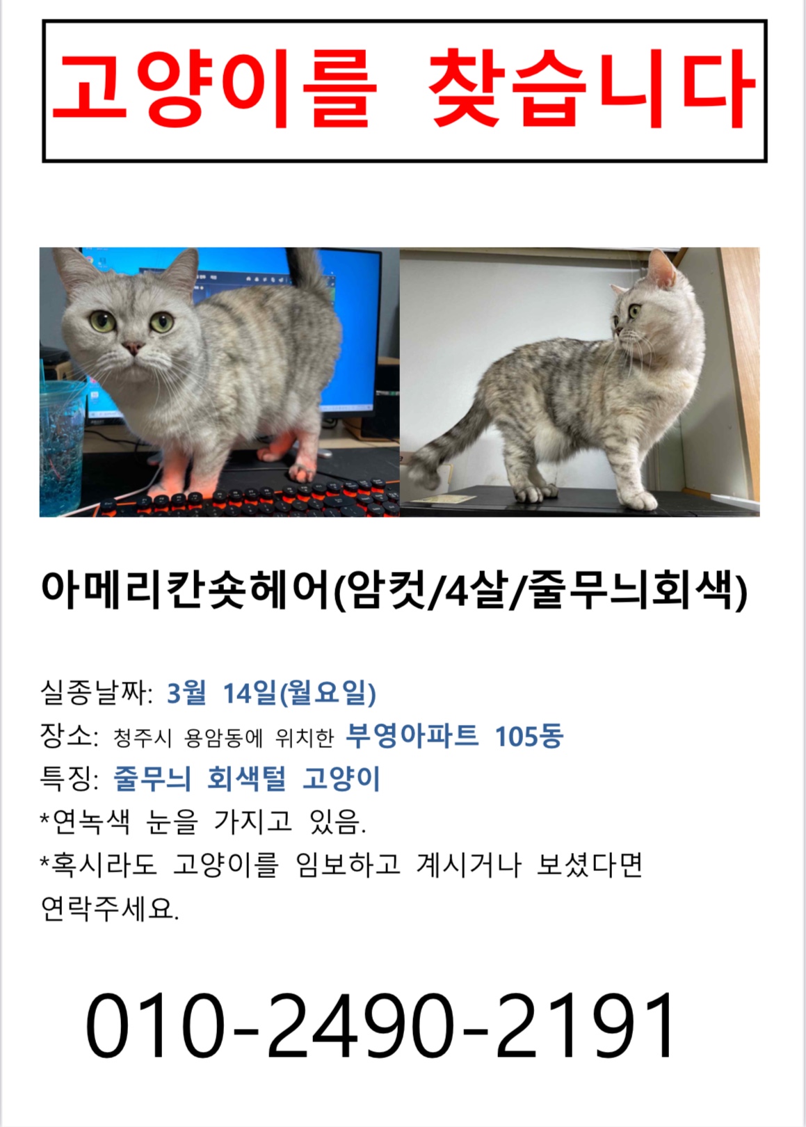 유기견보호센터 강아지보호소 고양이보호소 - 펫찾기 21번째 사진