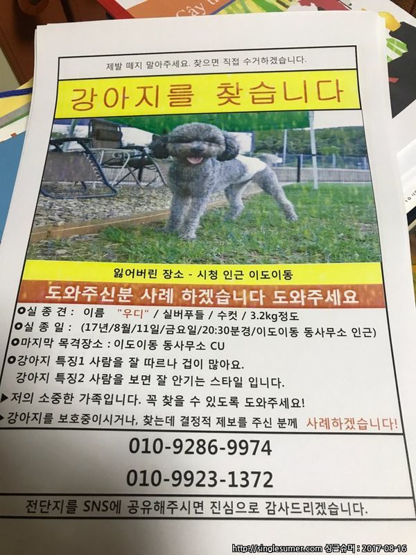 유기견보호센터 강아지보호소 고양이보호소 - 펫찾기 24번째 사진