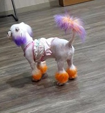 강아지를 찾습니다. - 강아지 찾아요 - 유기견 보호 센터 - 이미지 1