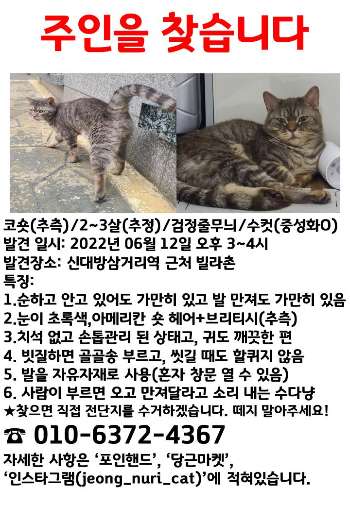 실종 전단지(누리).png.jpg