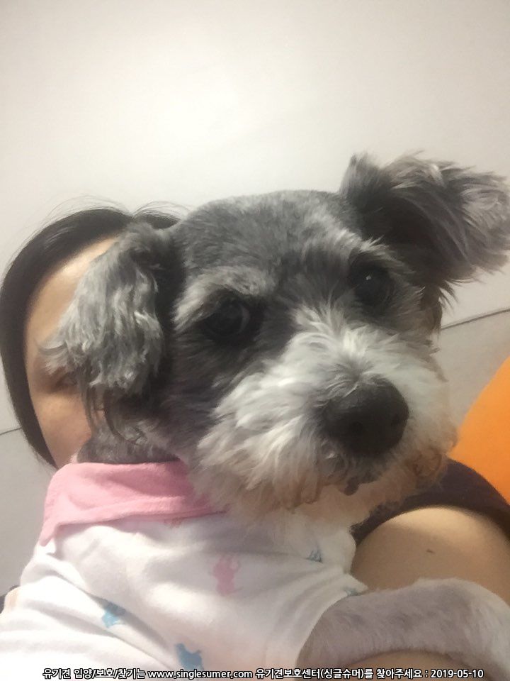 KakaoTalk_20190509_235625607.jpg