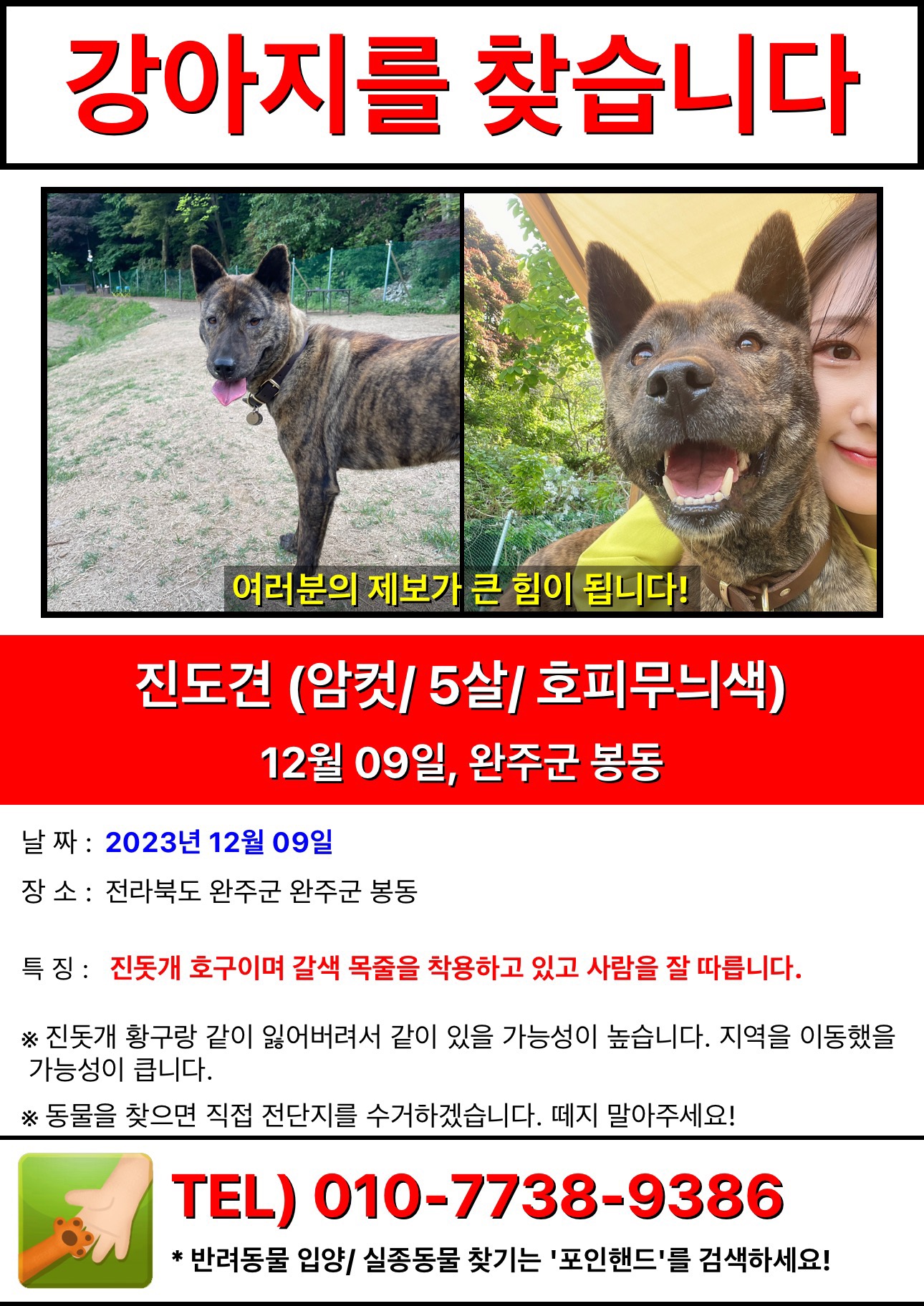유기견보호센터 강아지보호소 고양이보호소 - 펫찾기 21번째 사진