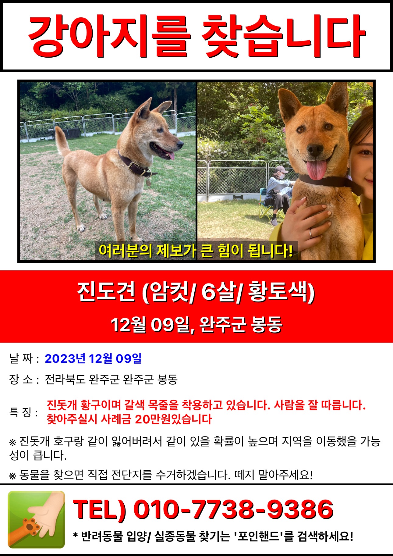 유기견보호센터 강아지보호소 고양이보호소 - 펫찾기 20번째 사진