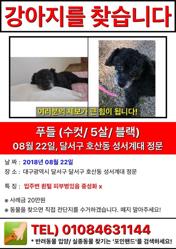 유기견보호센터 강아지보호소 고양이보호소 - 펫찾기 26번째 사진