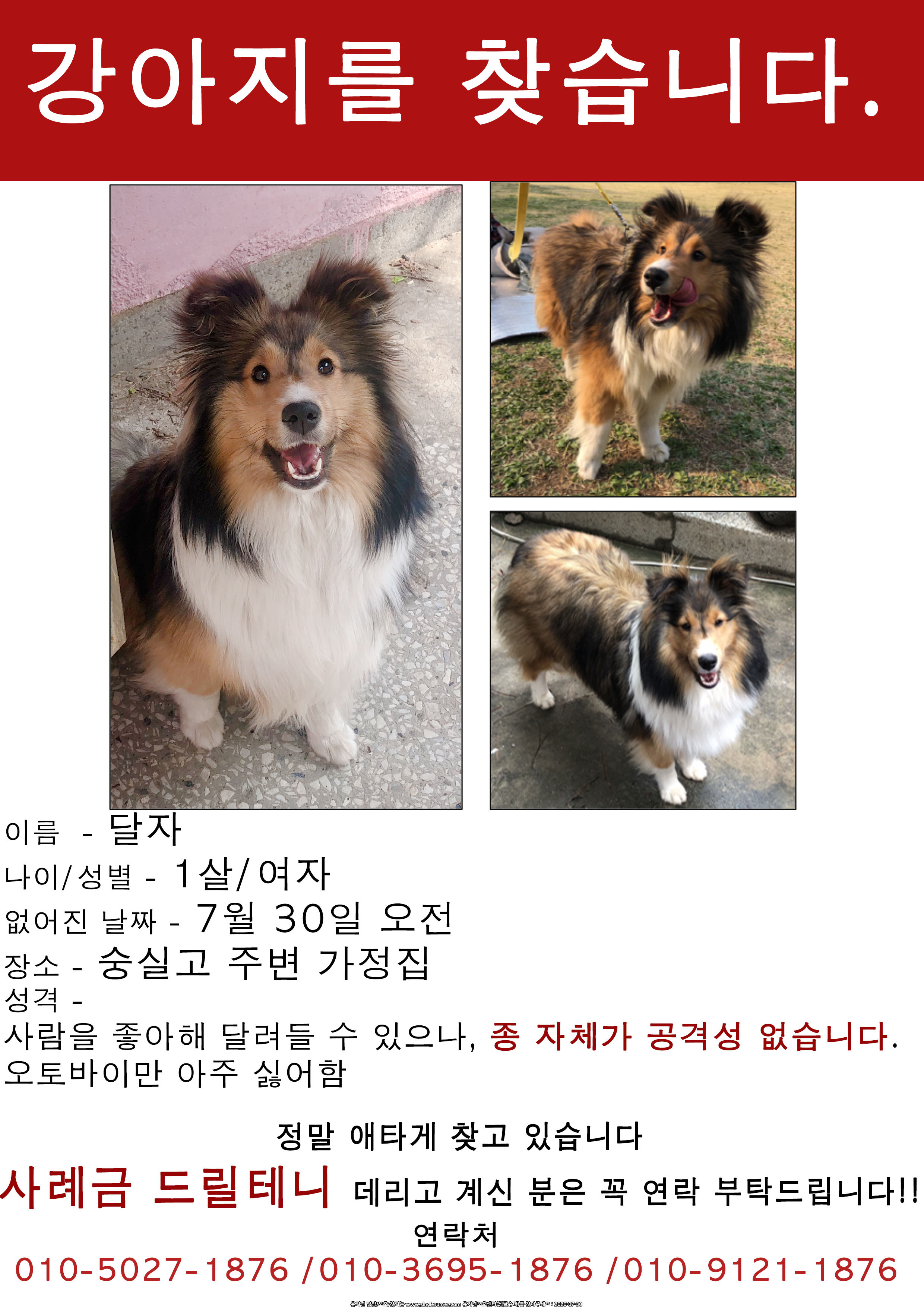 유기견보호센터 강아지보호소 고양이보호소 - 펫찾기 13번째 사진