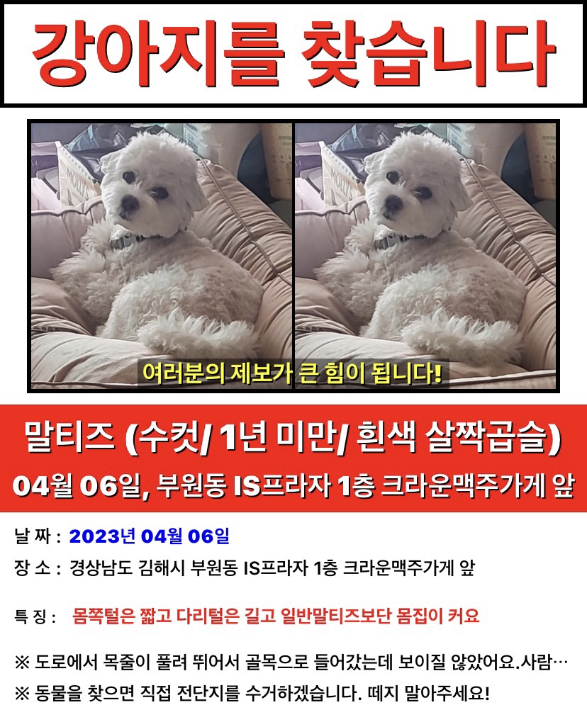 유기견보호센터 강아지보호소 고양이보호소 - 펫찾기 6번째 사진