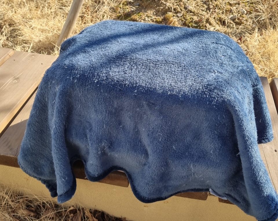 유기견보호센터 강아지보호소 고양이보호소 - 펫찾기 19번째 사진