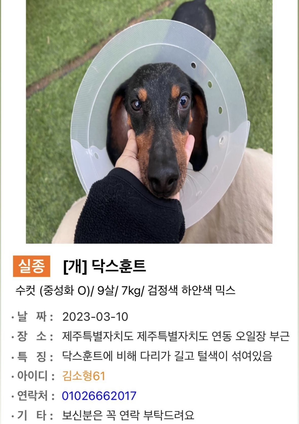 유기견보호센터 강아지보호소 고양이보호소 - 펫찾기 3번째 사진