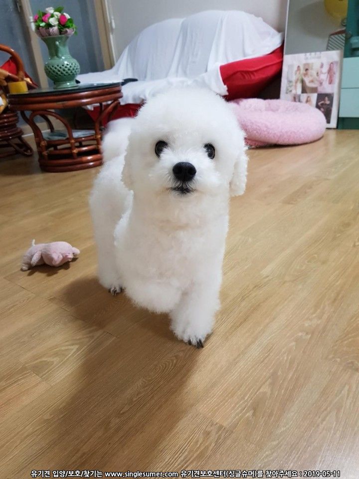 KakaoTalk_20190511_105405670.jpg