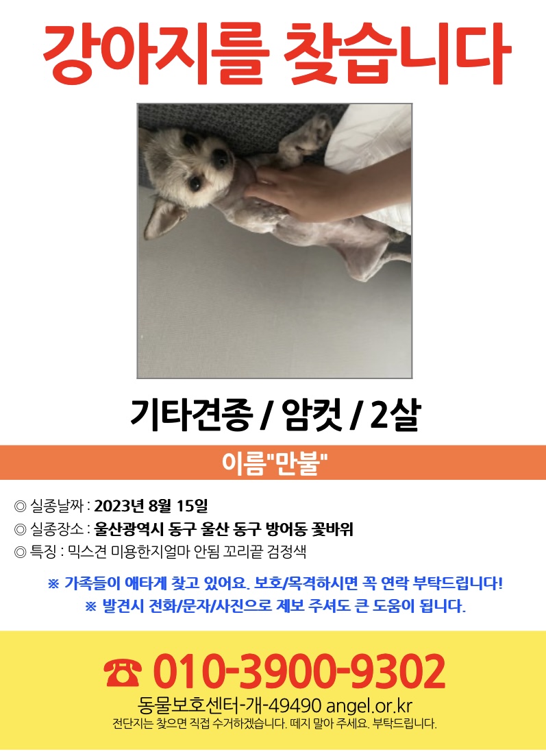 유기견보호센터 강아지보호소 고양이보호소 - 펫찾기 26번째 사진