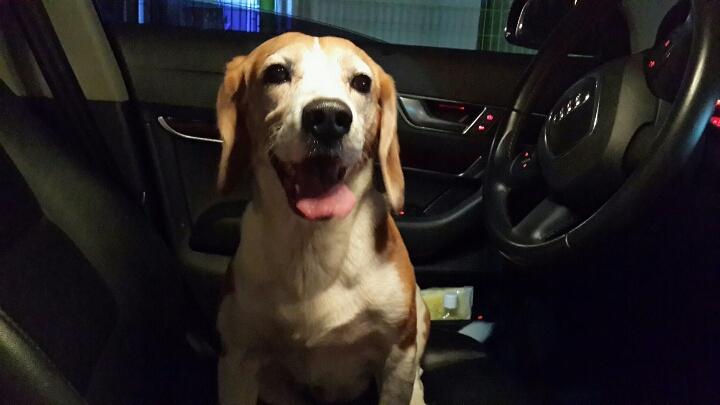 맹구좀찾아주세요.. 2번째 사진